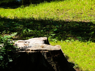 Similar image 1448426