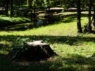 Similar image 1448427