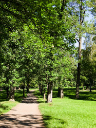 Similar image 1448428