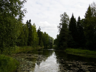 Similar image 1448429