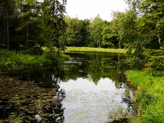 Similar image 1448430