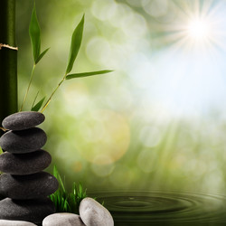 Similar image 1448444