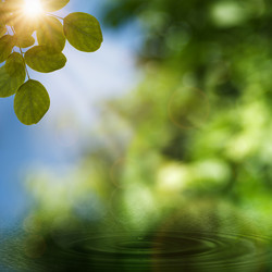 Similar image 1448446