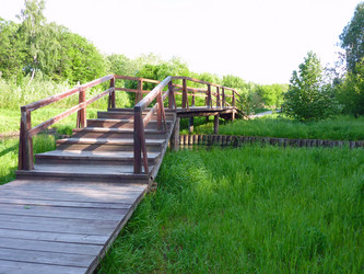 Similar image 1448497