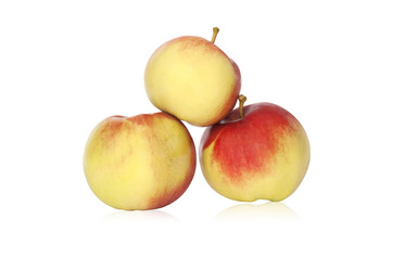 Similar image 1448503