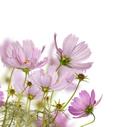 Similar image 1448505