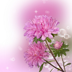 Similar image 1448507