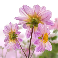 Similar image 1448510