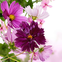 Similar image 1448528