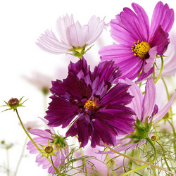 Similar image 1448529