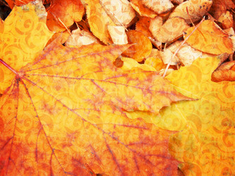 Similar image 1448559