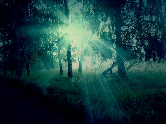 Similar image 1448579