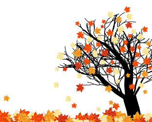 Similar image 1448595