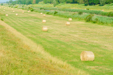 Similar image 1448764