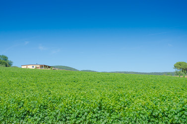 Similar image 1448773