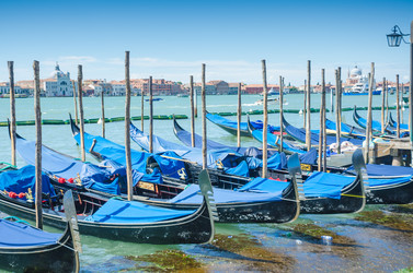 Similar image 1448826