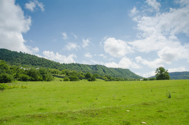 Similar image 1448906