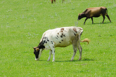 Similar image 1448910