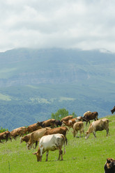 Similar image 1448911