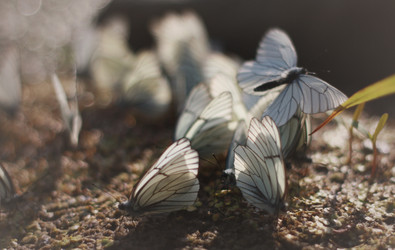 Similar image 1448923