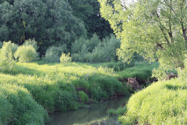 Similar image 1448925