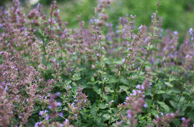 Similar image 1448926