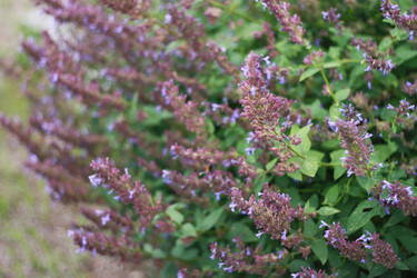 Similar image 1448927