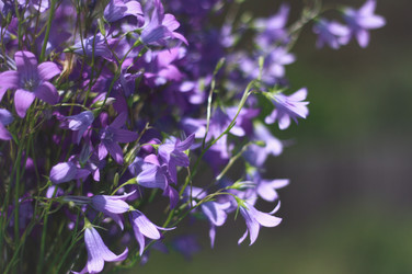 Similar image 1448928