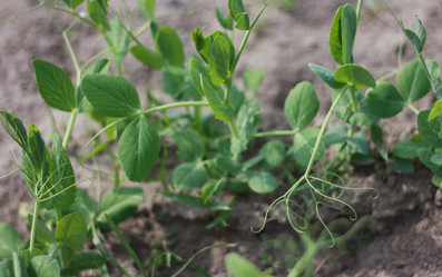 Similar image 1449003