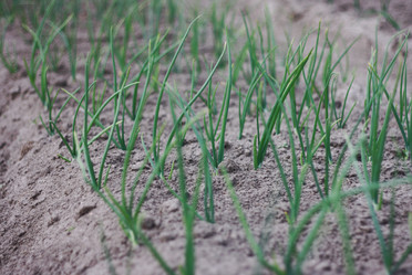 Similar image 1449004