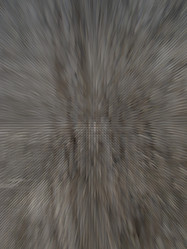 Similar image 1449018