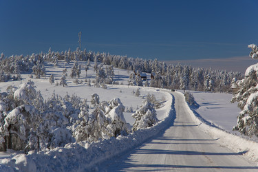 Similar image 1449546