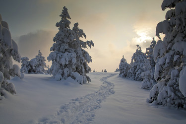 Similar image 1449549