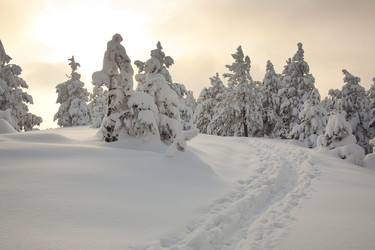 Similar image 1449562