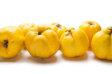 Similar image 1449572