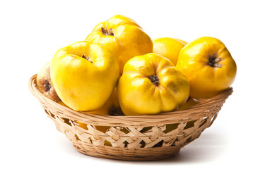 Similar image 1449578