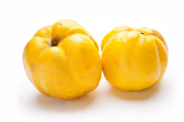 Similar image 1449580