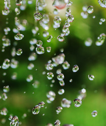 Similar image 1449586