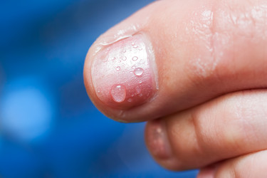 Similar image 1449587