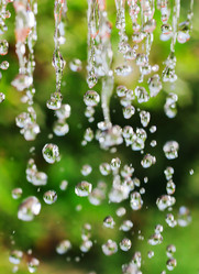 Similar image 1449590