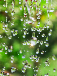 Similar image 1449592