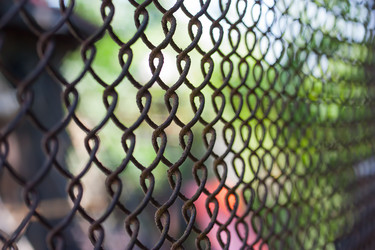 Similar image 1449593