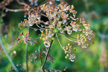 Similar image 1449596