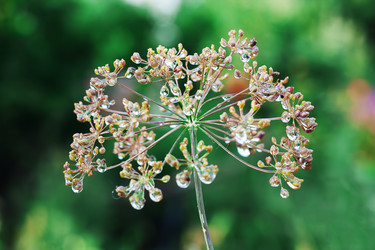 Similar image 1449597