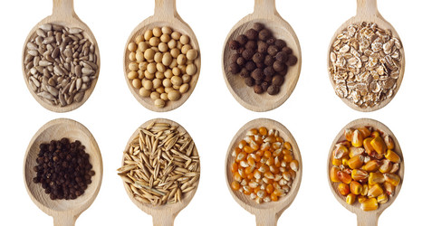 Similar image 1449600