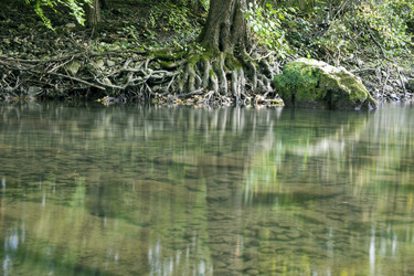 Similar image 1449607