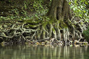 Similar image 1449623