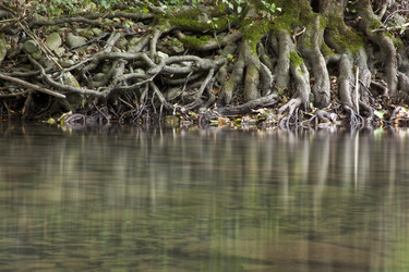 Similar image 1449624