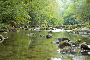 Similar image 1449628