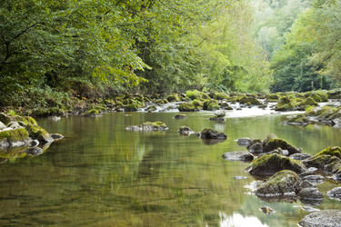 Similar image 1449630